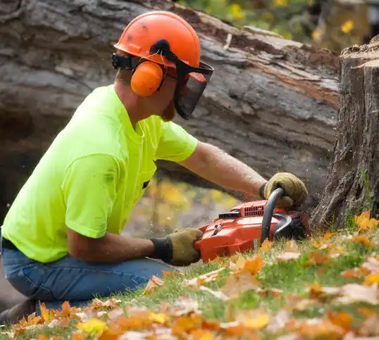 tree services St. Regis Falls